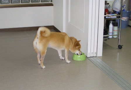 f0004309_2234268.jpg