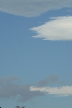 d0150013_851328.jpg