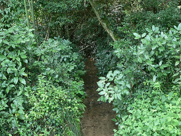 e0002314_22362831.jpg