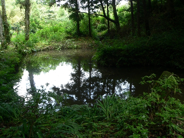 e0002314_22373773.jpg