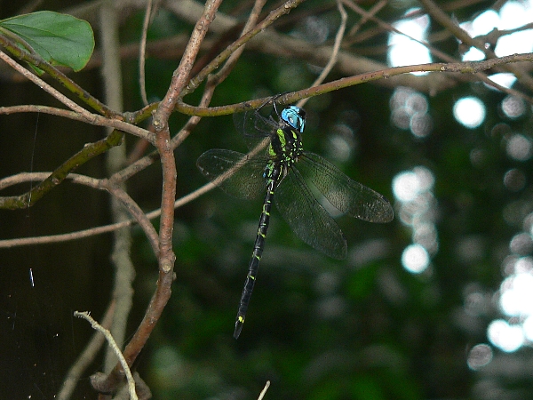 e0002314_2238049.jpg