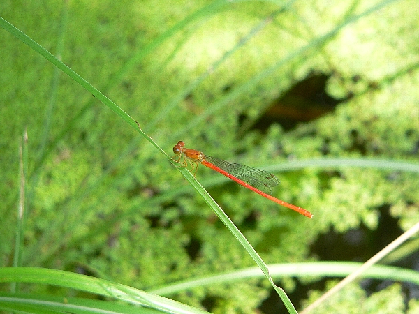 e0002314_22401968.jpg
