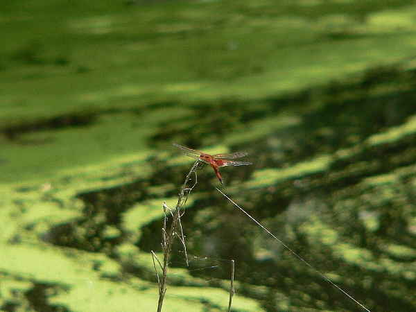 e0002314_22404713.jpg