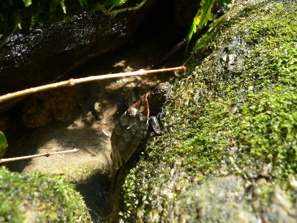 e0002314_22412233.jpg