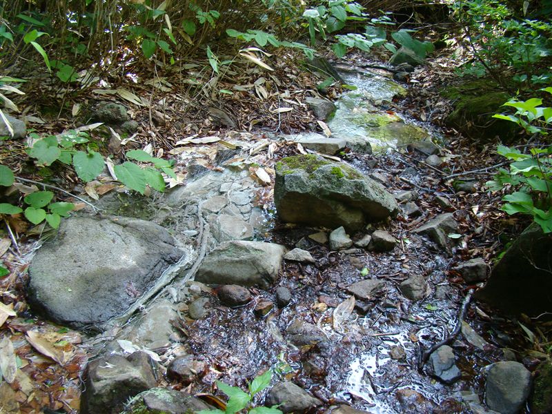 a0127015_11143324.jpg