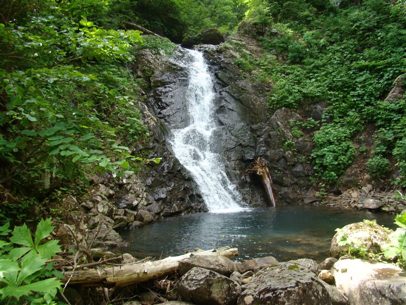 a0127015_11161947.jpg