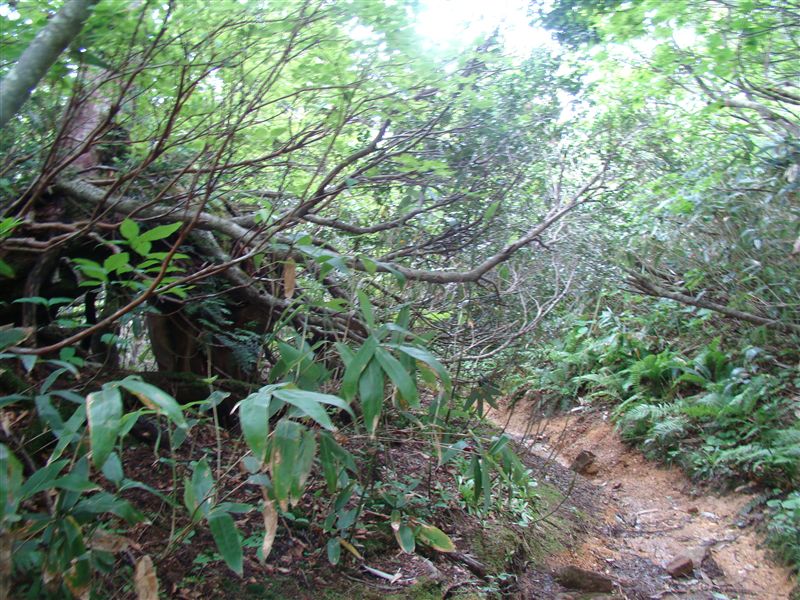 a0127015_1118015.jpg
