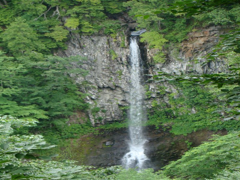 a0127015_11251647.jpg