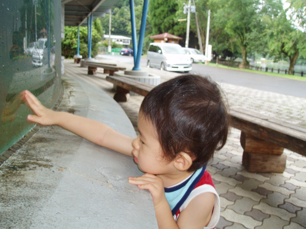 d0119915_725027.jpg
