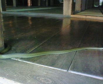 d0013816_10153312.jpg