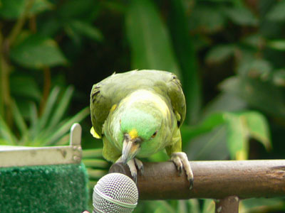 e0148120_0143025.jpg
