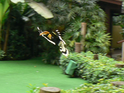 e0148120_052829.jpg
