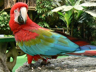 e0148120_055855.jpg