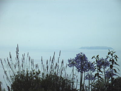 e0177824_21382982.jpg