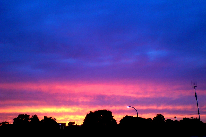 f0192226_15201069.jpg