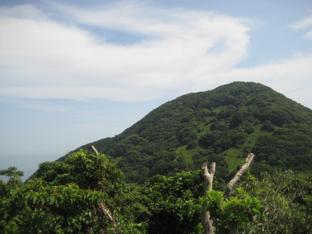 d0147727_21171365.jpg