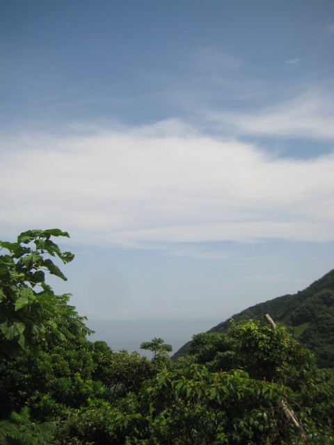 d0147727_21173984.jpg