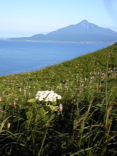 a0126128_19345475.jpg