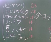 f0146828_23492.jpg