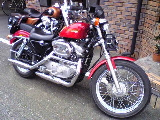 a0099129_22501256.jpg