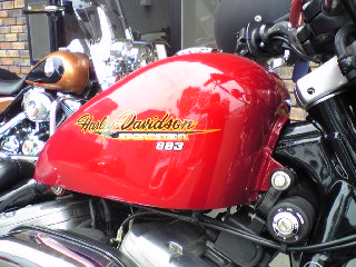 a0099129_22502618.jpg