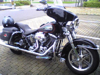 a0099129_2312942.jpg