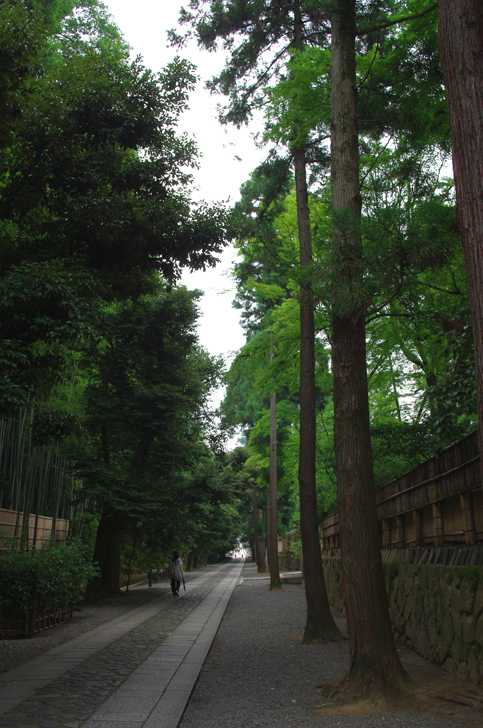 c0077129_12263276.jpg