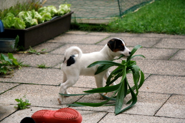 a0128333_6235917.jpg