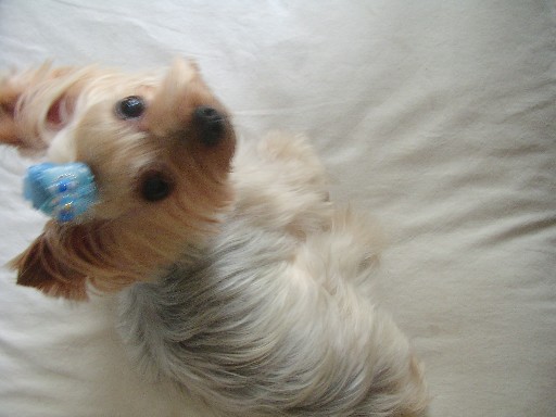 f0002833_0165941.jpg