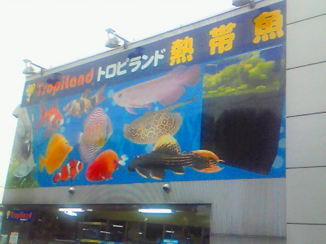 a0121134_1835884.jpg