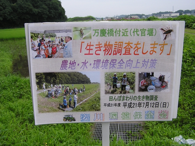 b0099538_13443889.jpg