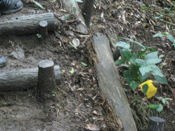 c0077338_14561148.jpg