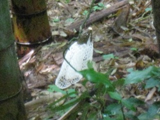 c0077338_14565454.jpg