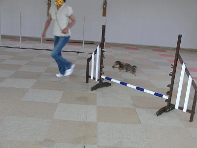 f0186040_2235930.jpg