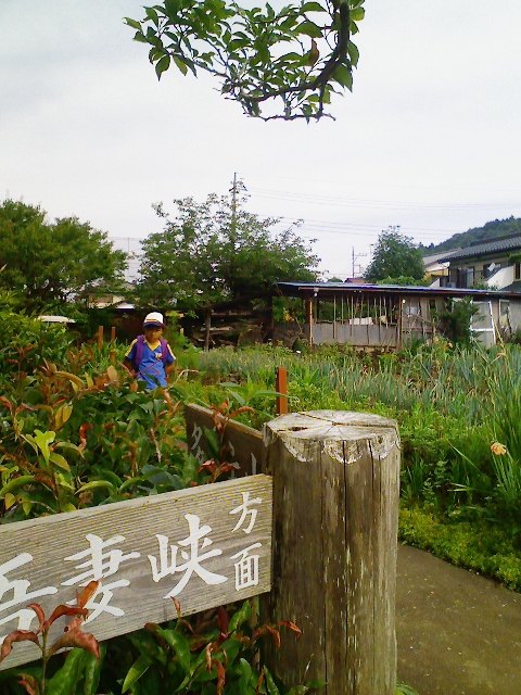 d0124543_0382084.jpg