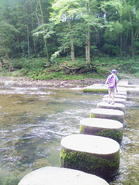 d0124543_14559.jpg