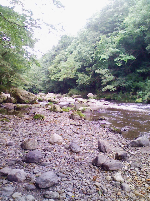 d0124543_15186.jpg