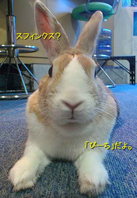 a0095546_2136431.jpg