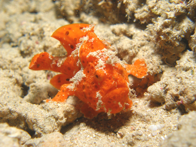 d0065247_2042136.jpg