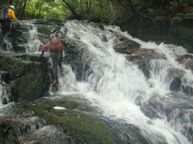 b0161750_21253833.jpg
