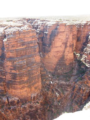 f0194450_1133951.jpg