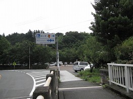 d0031853_351062.jpg