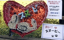 d0031853_357641.jpg