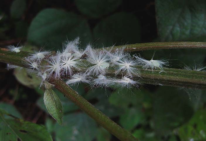 d0146854_074021.jpg