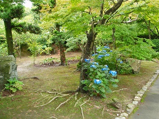 e0004756_7403342.jpg