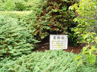 e0004756_742192.jpg