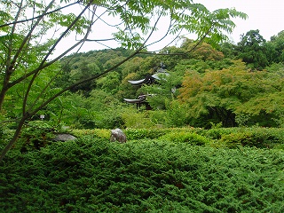 e0004756_742291.jpg