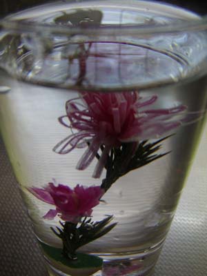 f0168256_13223880.jpg