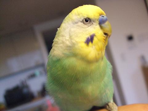f0149057_130154.jpg