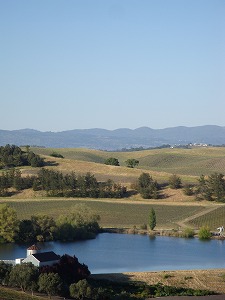 c0185058_1663770.jpg